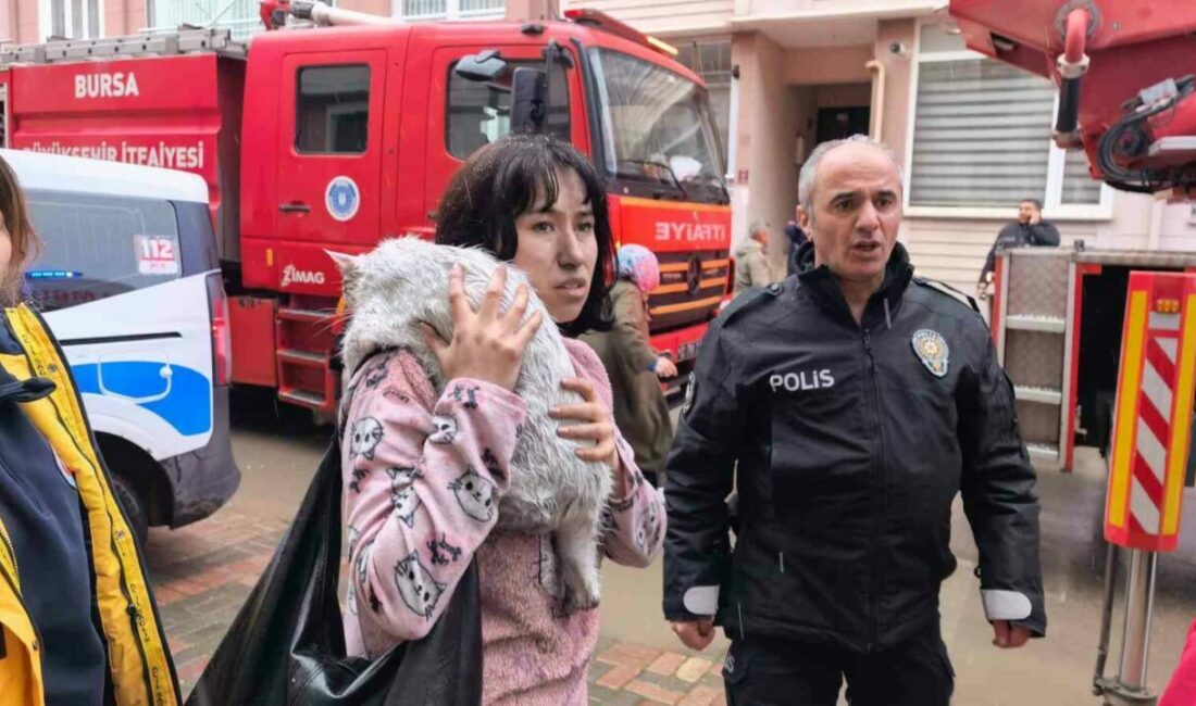 Bursa’da yangında can pazarı…Çocuklar tahliye edildi, kediler kurtarıldı Bursa’nın İnegöl ilçesinde apartmanın 3. katında çıkan yangında 5 kediden