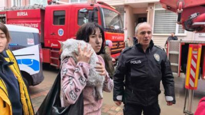 Bursa’nın İnegöl ilçesinde apartmanın 3. katında çıkan yangında 5 kediden