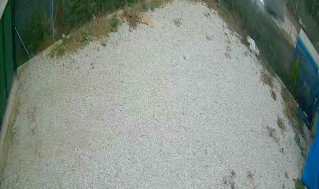 Direksiyon hakimiyetini kaybeden sürücü ölümden böyle döndü Bursa’da direksiyon hakimiyetini kaybeden bir sürücü, otomobiliyle bir hobi evinin