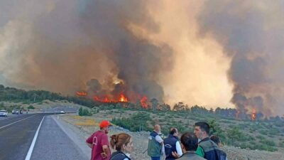 Bursa’nın Harmancık ve Orhaneli ilçelerinde geçtiğimiz yıl temmuz ayında çıkan