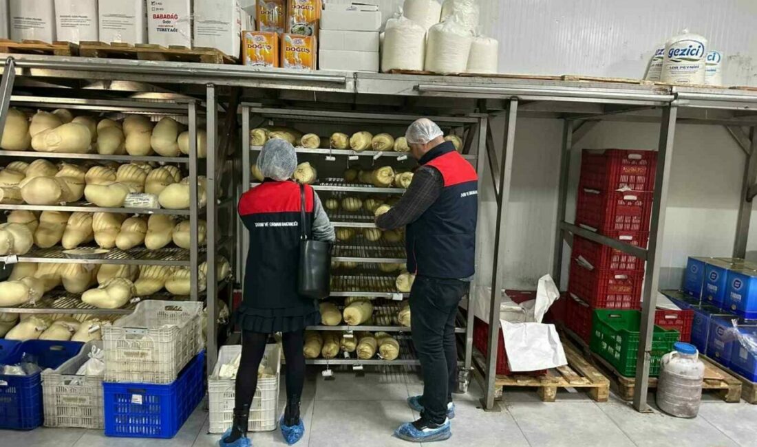 Tarım ve Orman Bakanlığı Gıda ve Kontrol Genel Müdür Yardımcısı