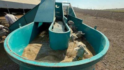 İnegöl Belediyesi, tarımı güçlendirmek ve üreticiyi desteklemek adına uyguladığı politikalarla