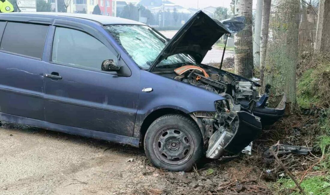 Bursa’nın İnegöl ilçesinde kontrolden çıkan otomobilin kaldırıma ve ağaca çarptığı