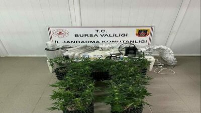 Bursa’nın İnegöl ilçesinde bir evde esrar üretiminde kullanılan bitkiler ve