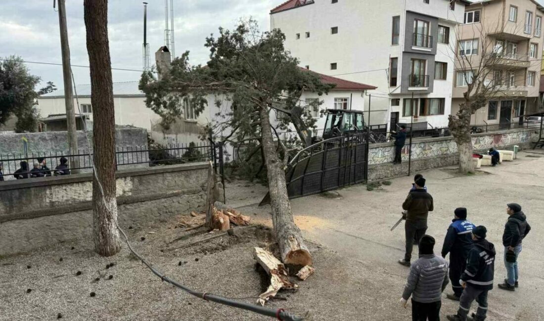 İznik’te okulların tatil olması faciayı önledi..Dev ağaç okul bahçesine devrildi BURSA (İHA) – Bursa’nın İznik ilçesi Mustafakemalpaşa Mahallesi’nde etkili olan