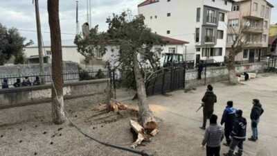 BURSA (İHA) – Bursa’nın İznik ilçesi Mustafakemalpaşa Mahallesi’nde etkili olan