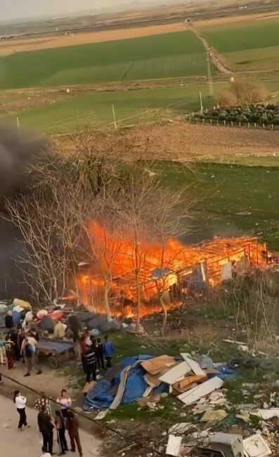 Bursa’nın Karacabey ilçesinde alev alev yanan ağılda şans eseri hayvanlar