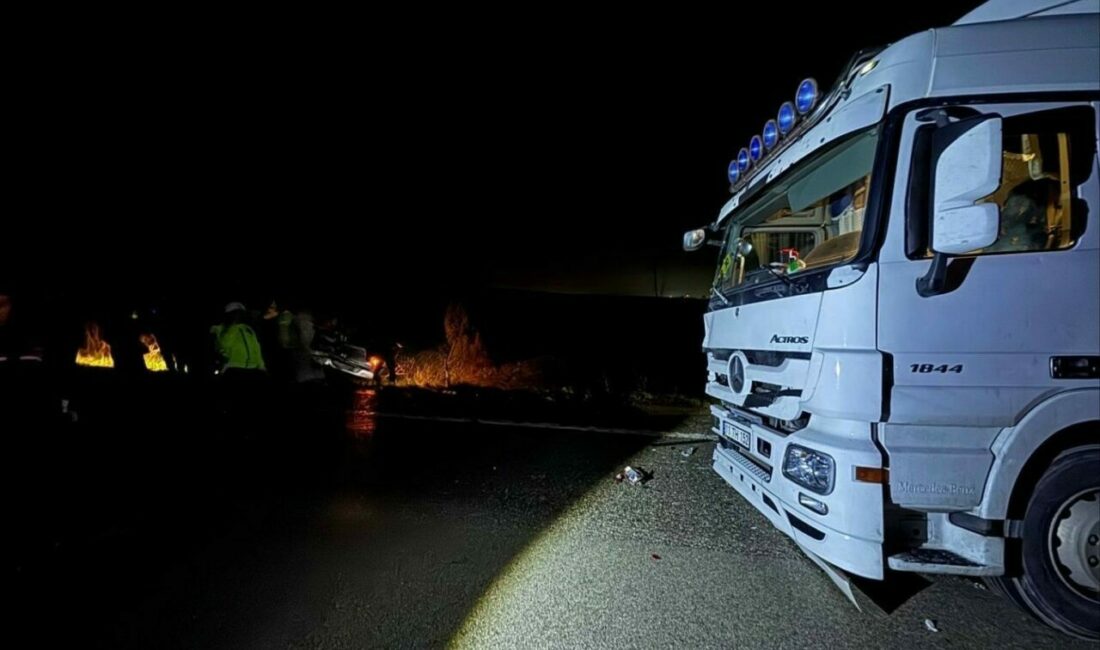 Bursa’nın Mustafakemalpaşa ilçesinde otoyolda köpeklere çarpıp durmak zorunda kalan otomobile