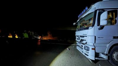 Bursa’nın Mustafakemalpaşa ilçesinde otoyolda köpeklere çarpıp durmak zorunda kalan otomobile