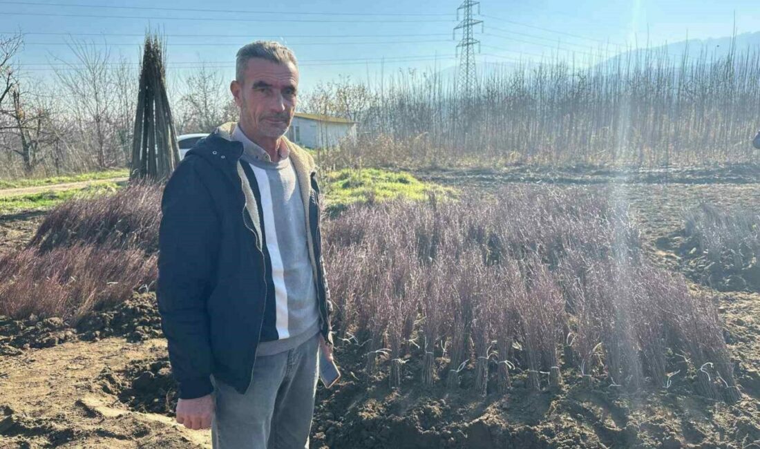 Kurulan her meyve bahçesinde “Bursa” imzası var Bursa’nın İnegöl ilçesine bağlı kırsal Cerrah Mahallesi’nin, yılda yaklaşık 15 milyon