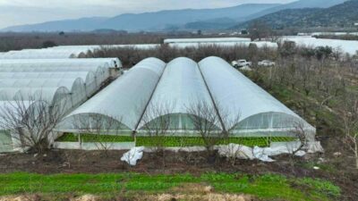 Bursa Büyükşehir Belediyesi, afetlerden olumsuz etkilenen çiftçilere yönelik desteklerini sürdürüyor.