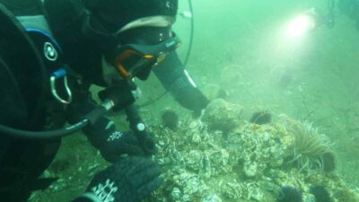 Onyedi Eylül Üniversitesi Denizcilik Fakültesi Öğretim Üyesi Prof. Dr. Mustafa