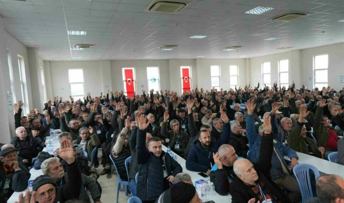 Marmarabirlik Orhangazi Zeytin Tarım Satış Kooperatifi Olağan Genel Kurulu’nda oyların