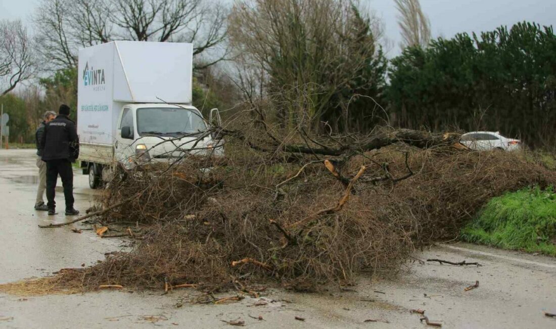 Osmangazi Belediyesi’nden lodosa karşı etkin müdahale Osmangazi Belediyesi, Bursa’da sabah saatlerinden itibaren etkisini artıran lodos ve