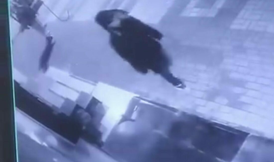 Otomobillerin aynalarını kırıp camlarını yumrukladılar, hiçbir şey olmamış gibi gittiler Bursa’nın Yıldırım ilçesinde alkollü oldukları iddia edilen 2 şahıs, park