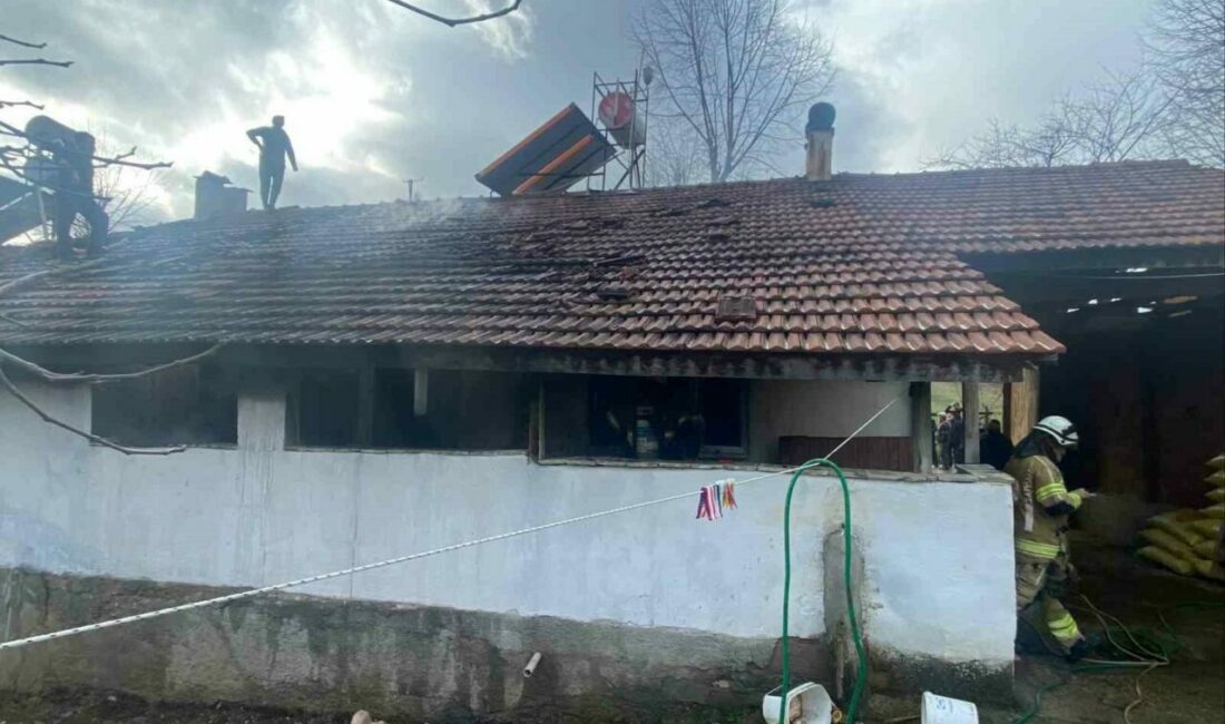 Tek yaşayan adamın evi küle döndü Bursa’nın İnegöl ilçesinde tek yaşayan adamın evi, yangında kullanılamaz hale