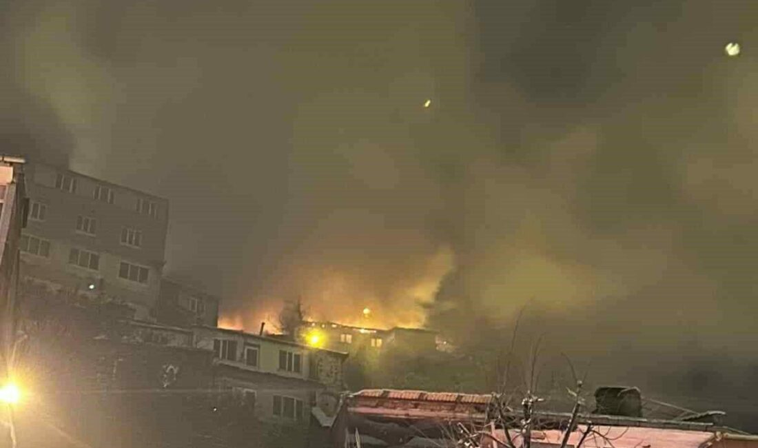 Uludağ eteklerindeki ev küle döndü Bursa’nın Uludağ eteklerindeki bir evde çıkan yangın, mahalleye korku dolu