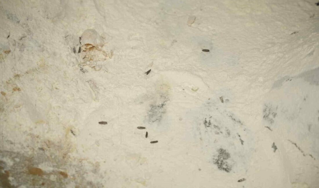 Yenişehir Belediyesi Zabıta Müdürlüğü ekipleri, Ramazan ayı öncesinde halk sağlığını