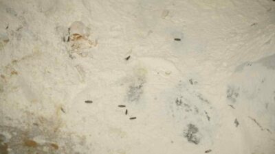 Yenişehir Belediyesi Zabıta Müdürlüğü ekipleri, Ramazan ayı öncesinde halk sağlığını