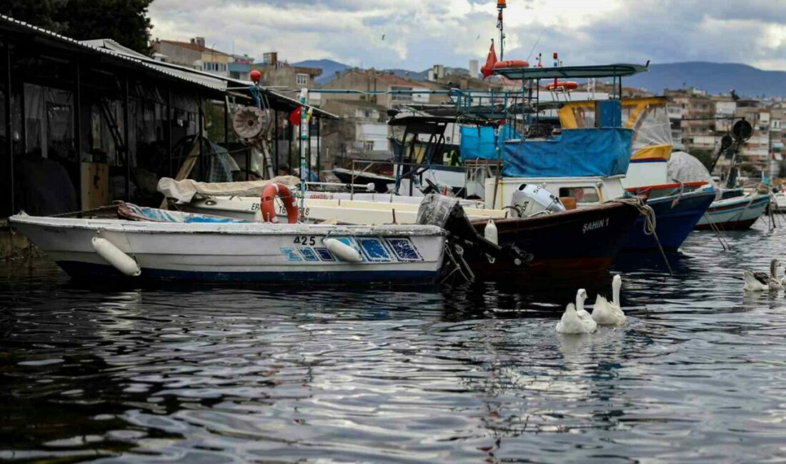 Bursa Büyükşehir Belediyesi’nin tarımsal üretimi desteklemek ve artan girdi maliyetlerini