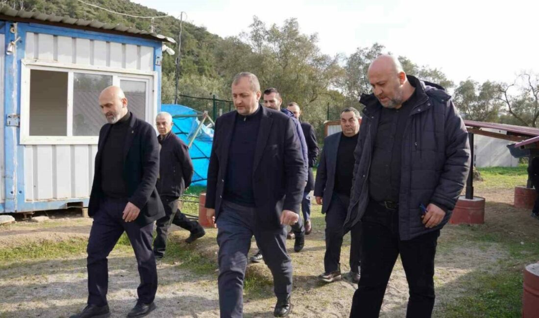 İznik Belediye Başkanı Kağan Mehmet Usta, AK Parti İznik İlçe