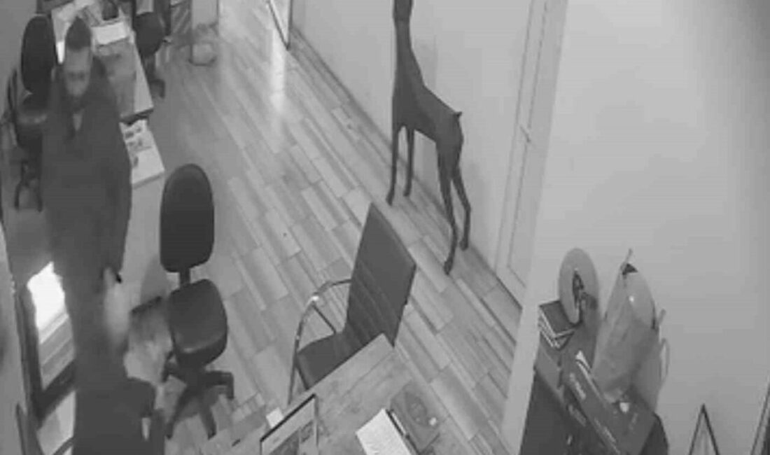 Bursa’da arkadaşına şaka yapmak isterken elini yaktı Bursa’da bir iş yerinde meydana gelen olayda, eline kolanya dökülen