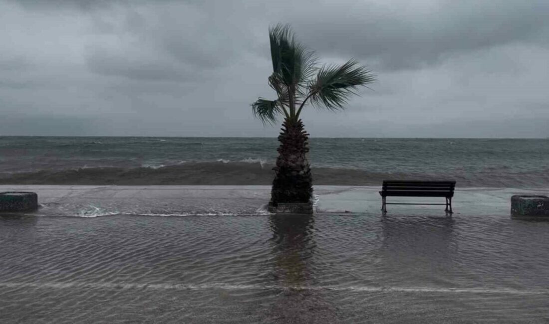 Bursa’nın Gemlik ilçesine bağlı Kurşunlu Mahallesi’nde sabah saatlerinde etkili olan