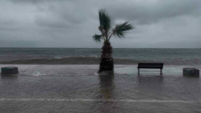 Bursa’nın Gemlik ilçesine bağlı Kurşunlu Mahallesi’nde sabah saatlerinde etkili olan