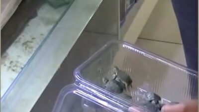 Doğa Koruma Milli Parklar 2. Bölge Müdürlüğü ve Bursa İl