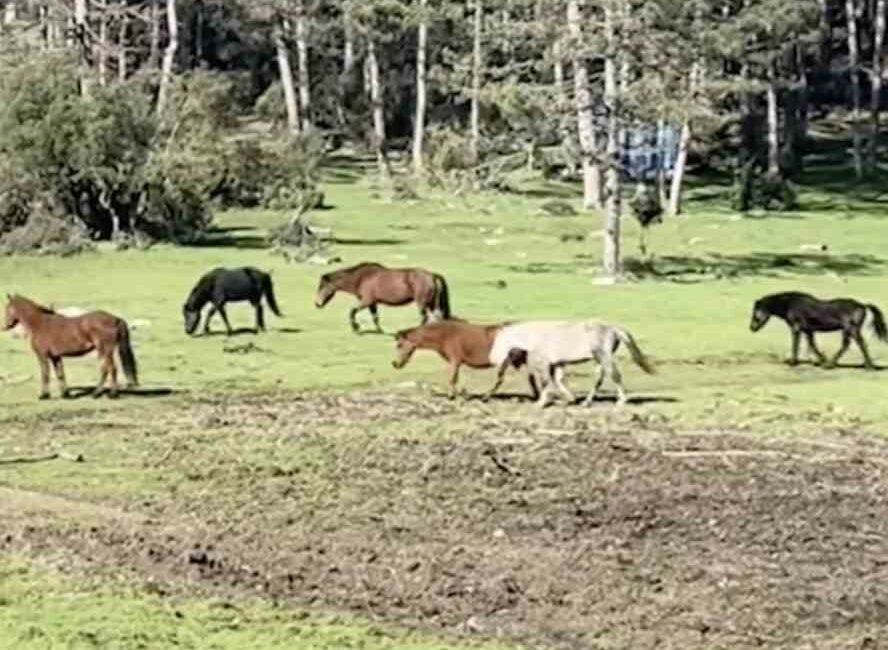 Bursa’nın yüksek kesimlerinde doğa, bu kez kartpostallık bir manzaraya sahne