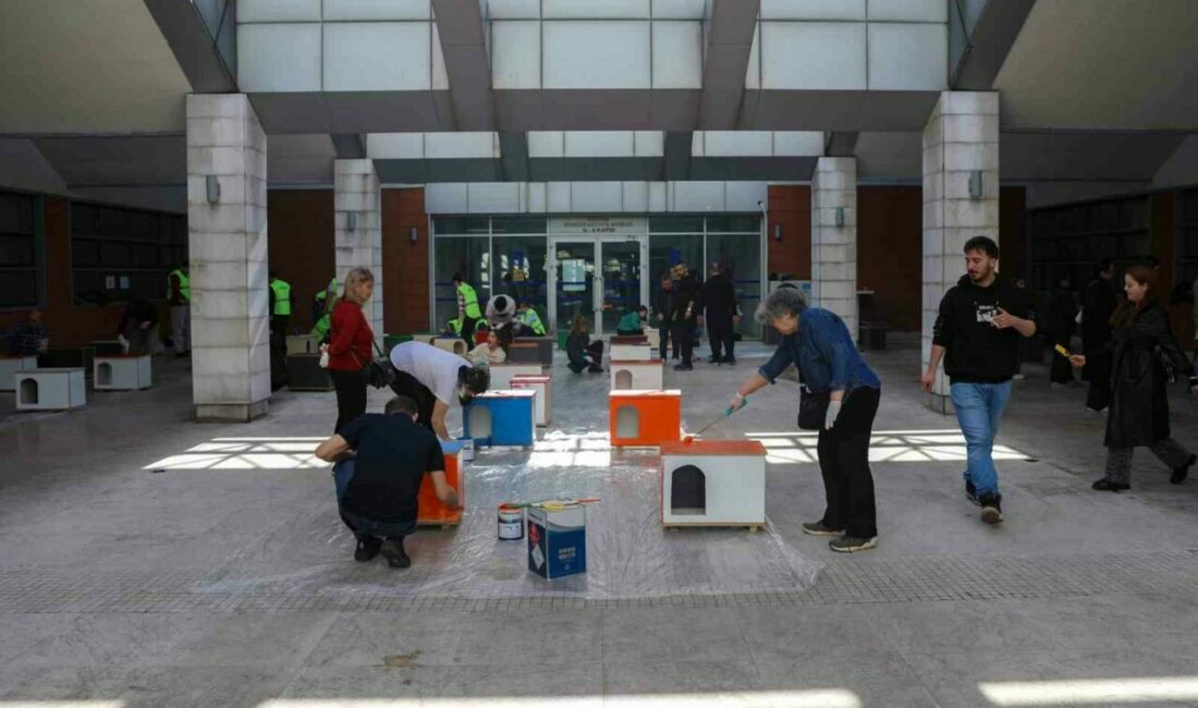 Bursa Büyükşehir Belediyesi, 17 Şubat Dünya Kediler Günü kapsamında düzenlediği