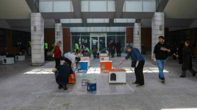 Bursa Büyükşehir Belediyesi, 17 Şubat Dünya Kediler Günü kapsamında düzenlediği