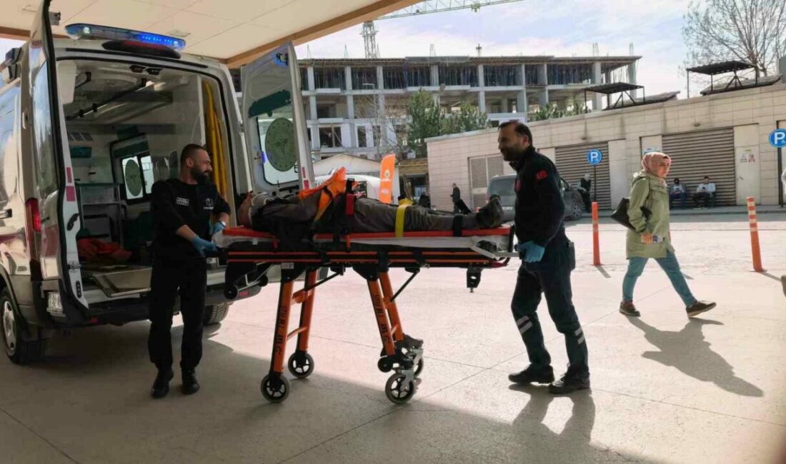 Bursa’nın İnegöl ilçesinde ceviz ağacından düşen yaşlı adam ağır yaralandı.