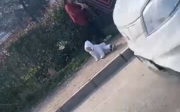 Bursa’nın Yıldırım ilçesinde dilenci kadınlar arasında çıkan kavga, kameraya yansıdı.