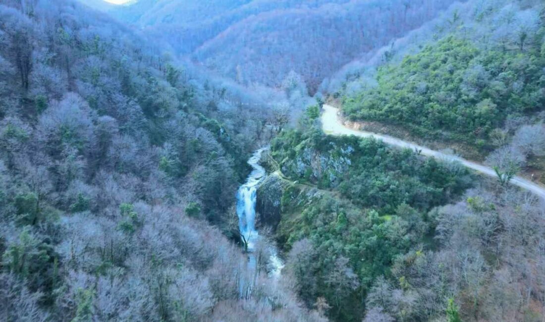 Bursa’nın Gemlik ilçesine bağlı Haydariye Köyü’nde bulunan Sudüşen Şelalesi, son