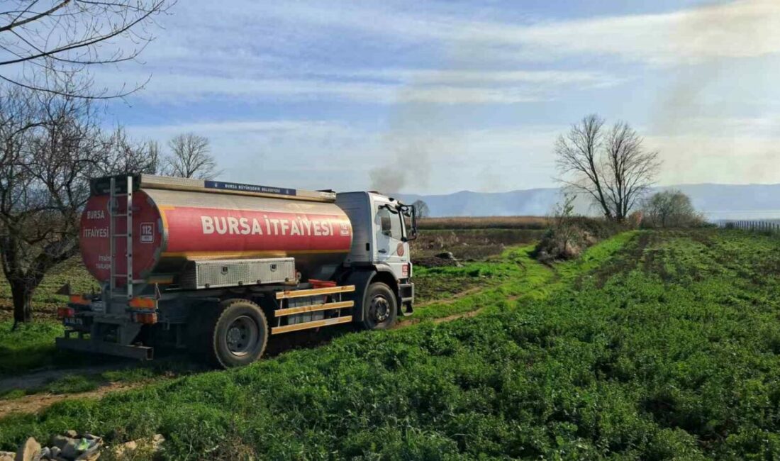 Bursa’nın İznik ilçesinde sazlık alanda çıkan ve rüzgarın etkisiyle büyüyen