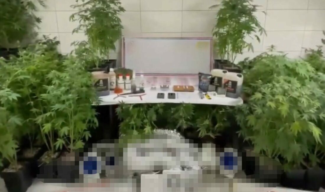 Bursa İl Jandarma Komutanlığı ekiplerince İnegöl ilçesinde bir eve düzenlenen