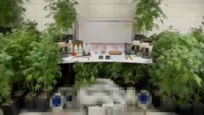 Bursa İl Jandarma Komutanlığı ekiplerince İnegöl ilçesinde bir eve düzenlenen