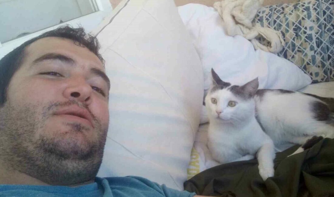 Geçen yıl kurban bayramında kaybettiği kedisini 8 aydır arayan Muğlalı