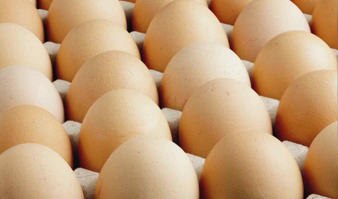 Kişi başına düşen yumurta üretimi 15 adet azaldı Türkiye’de geçen yıl yumurta üretimi 1 milyar 262 milyon 395
