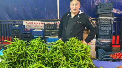 Ocak sonunda 80-100 liradan satılan sivri biberin kilosu, Antalya’daki seraların