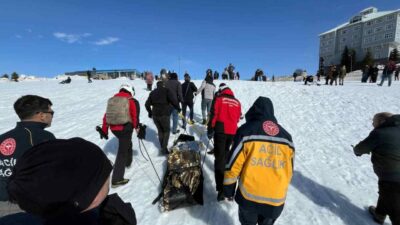 Kış turizminin gözde merkezlerinden Uludağ’da kızakla kayan bir tatilci kontrolünü