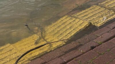 Türkiye’yi Avrupa Leylek Köyleri Birliğinde temsil eden tek yerleşim bölgesi olan Eskikaraağaç Mahallesi’nin