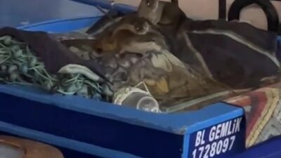 Bursa’nın Gemlik ilçesinde Kayıkhane Limanı, gece saatlerinde görenlerin yüzünü gülümseten