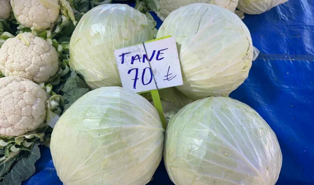 Beyaz lahanada üretici fiyatları geçen yıla göre 15 liradan yüzde