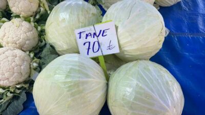 Beyaz lahanada üretici fiyatları geçen yıla göre 15 liradan yüzde