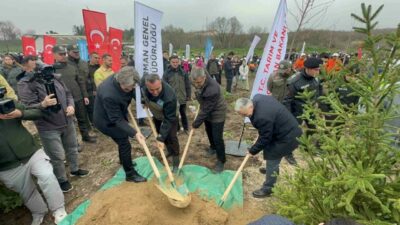 Bursa Uludağ Üniversitesi Görükle Yerleşkesi’nde 2024 yılı yazında çıkan orman