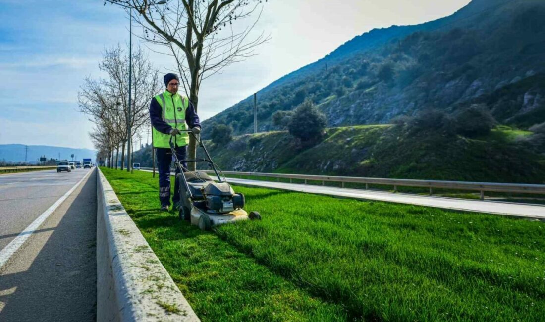 Bursa Büyükşehir Belediyesi, cadde ve bulvarlardaki refüjlerde yaptığı peyzaj düzenlemeleriyle