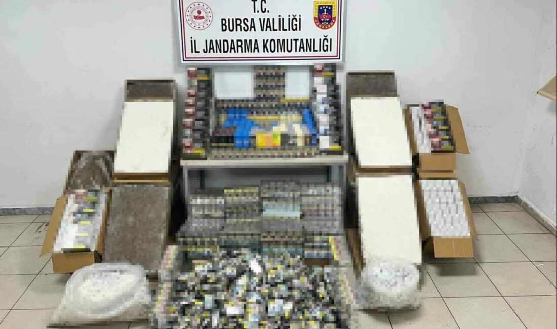 Bursa İl Jandarma Komutanlığı ekiplerinin kaçakçılıkla mücadele kapsamında yürüttüğü çalışmalar