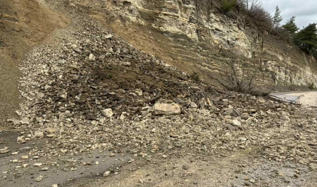 Bursa’nın İnegöl ilçesine bağlı kırsal Gülbahçe Mahallesi yolunda meydana gelen